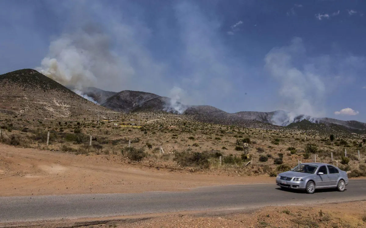 873249_Incendio forestal Mazapil Zacatecas-9_web